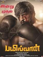 Pailwaan