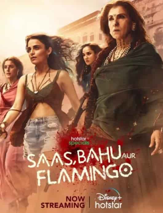 Saas Bahu Aur Flamingo Season 1