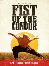 The Fist of the Condor