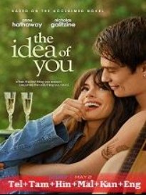 The Idea of You